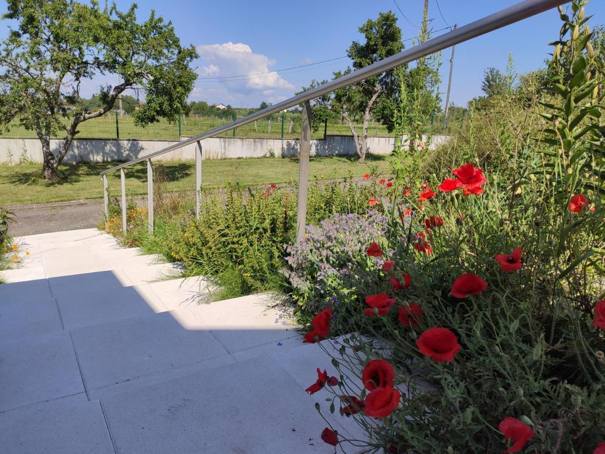 Domaine Des Arts Dompierre (Vosges) Exterior foto